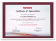 Isuzu - Recognition of Valuable Contribution for Isuzu Production during provious years 2010